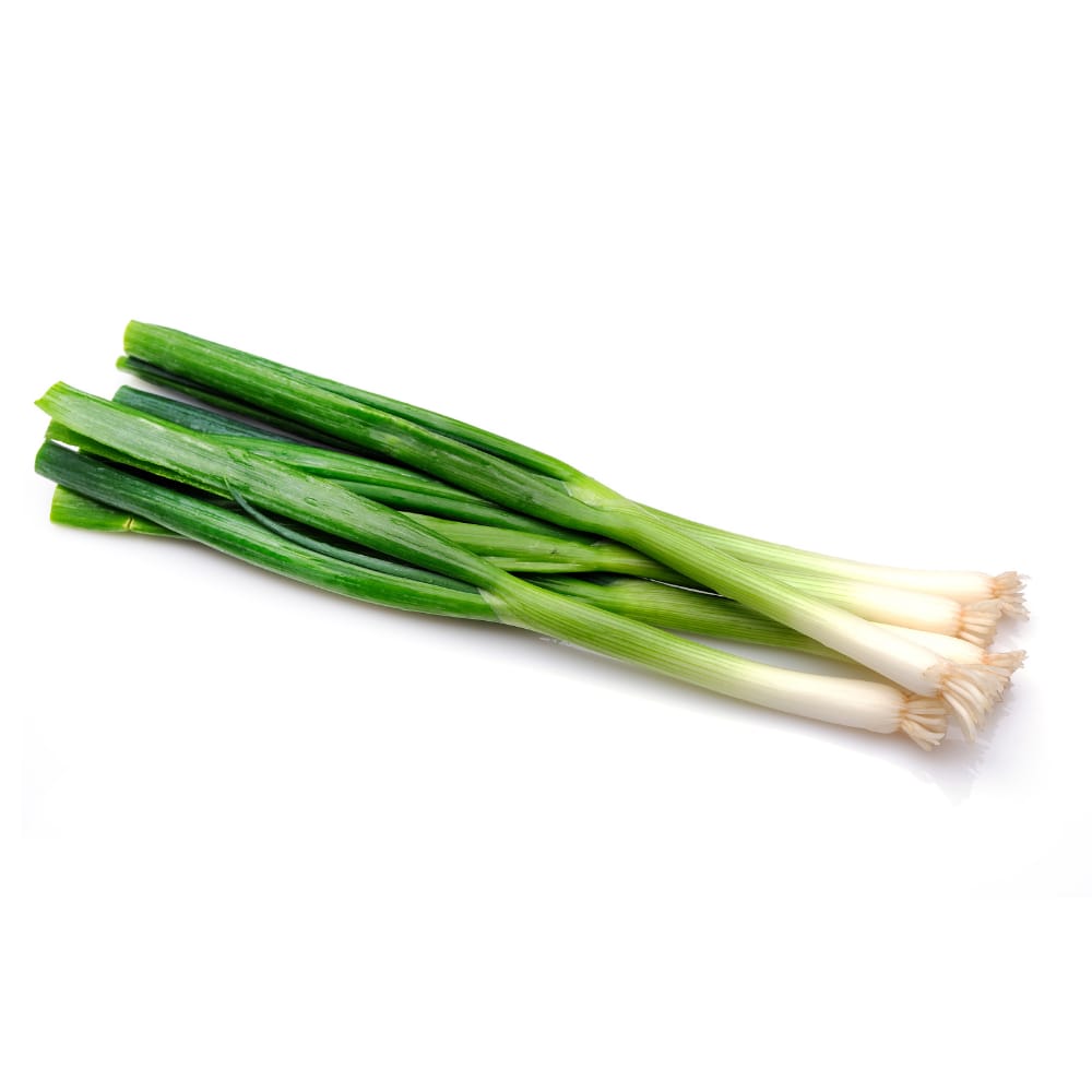 Jumbo Green Onion 24CT