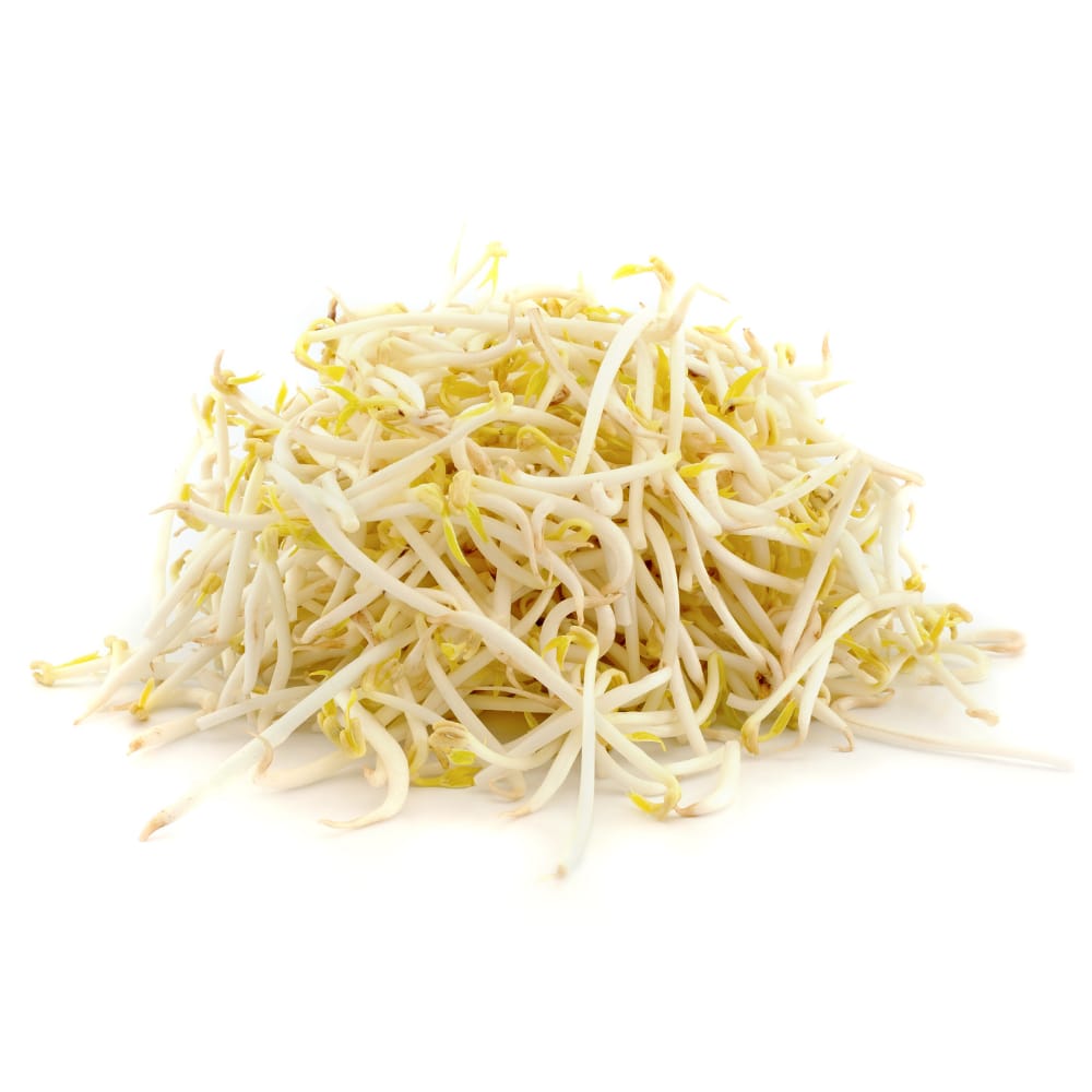 Bean Sprouts (Mung Bean Sprouts) 20LB