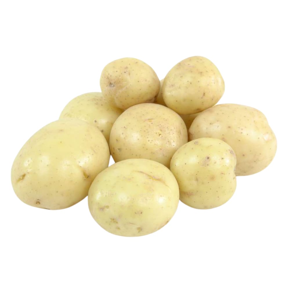 Pomme de terre ronde à chair blanche 50LB