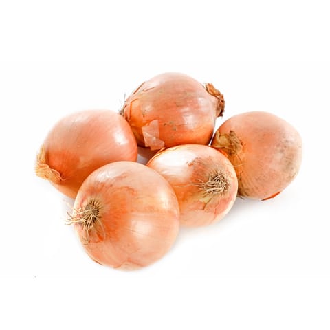 Yellow Cooking Onion 10LB