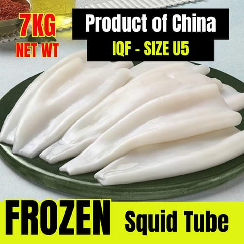 U5 Squid Tube, China Net Weight 100%, IQF Frozen 7KG