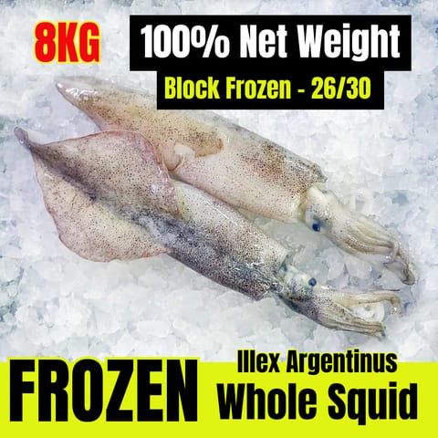 26/30 Whole Squid Illex Argentinus, Net Weight 100% , Frozen 8KG