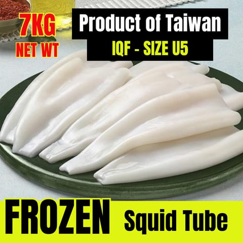 U5 Squid Tube, Taiwan Net Weight 100%, IQF Frozen 7KG