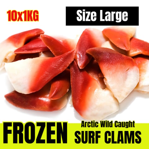 【Clearwater】Wild Caught Arctic Surf Clams/Hokkigai Large , Frozen 10 x 1KG