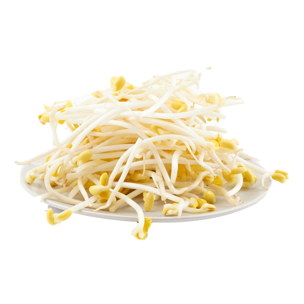 Bean Sprouts (Soybean Sprouts) 20LB